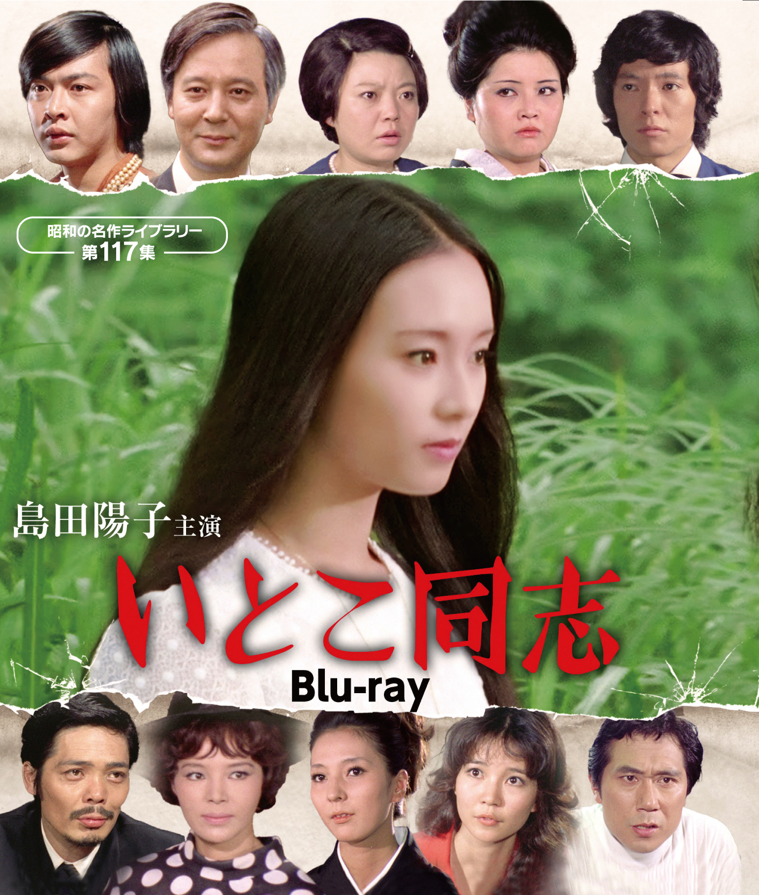 第117集 島田陽子主演 いとこ同志 Blu-ray | ベストフィールド